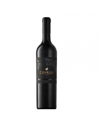 CAVALLI Warlord, Stellenbosch, 2020