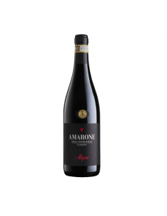 ALLEGRINI Amarone Della...
