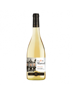 LES FILS DE MARCEL Blanc...